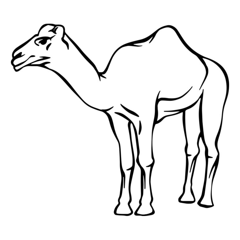 Camel   Clipart 2 Thumbnail