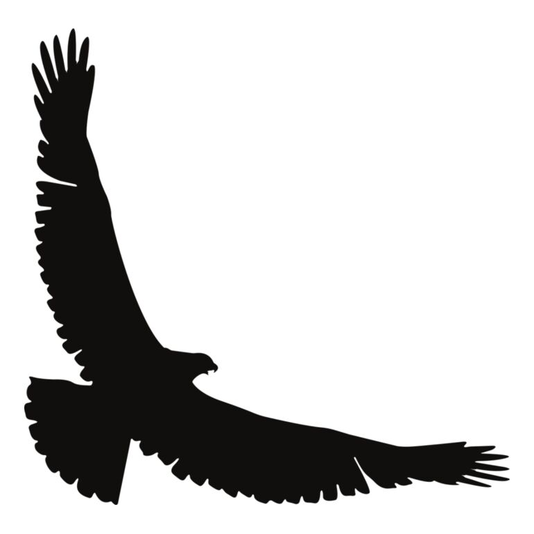 Eagle   Clipart 2 Thumbnail