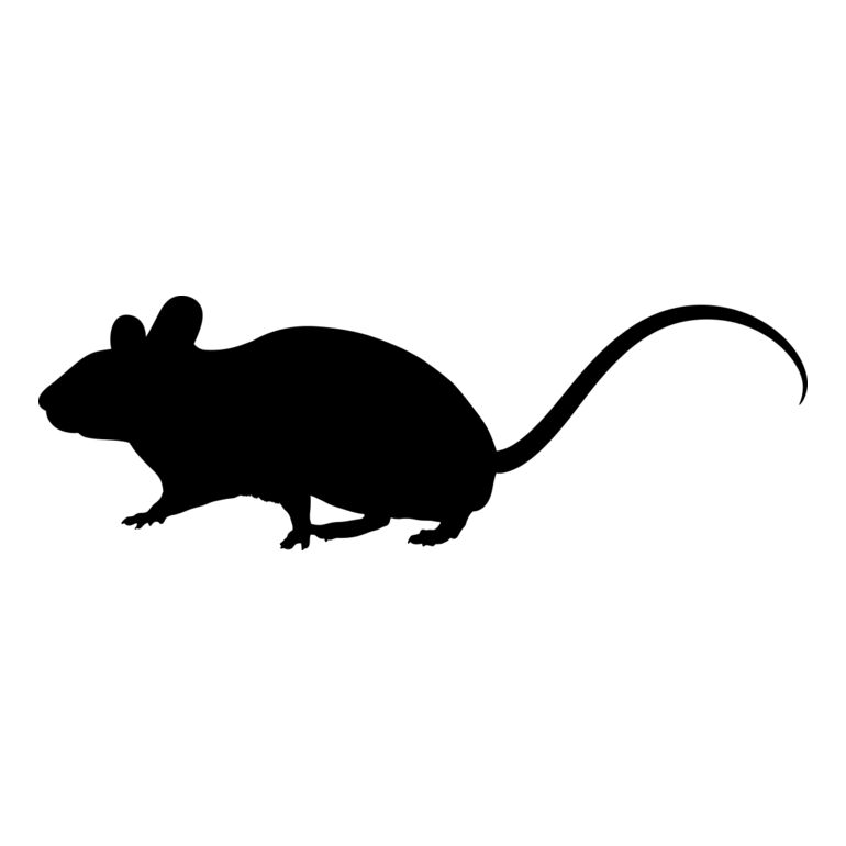 Mouse   Clipart 1 Thumbnail