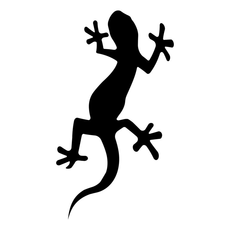 Newt   Clipart 1 Thumbnail