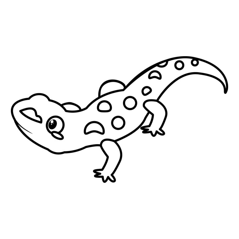 Newt   Clipart 2 Thumbnail