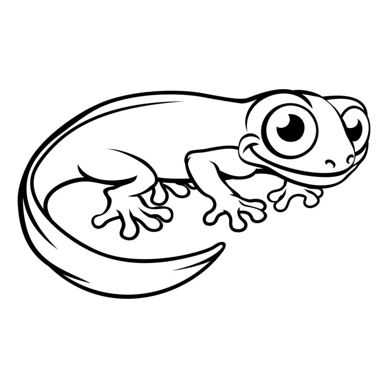 Newt   Clipart 3 Thumbnail