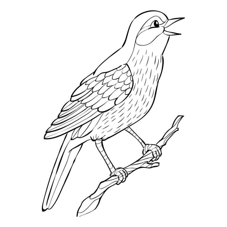Nightingale   Clipart 2 Thumbnail