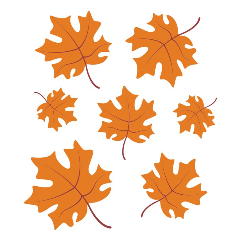 Maple Leaves Thumbnail