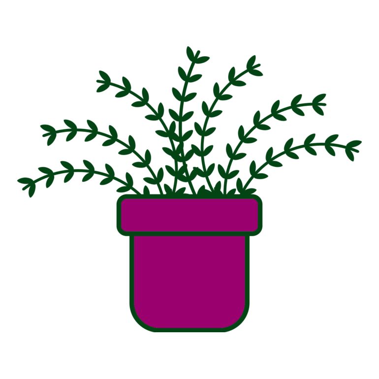 Plant 3 Thumbnail
