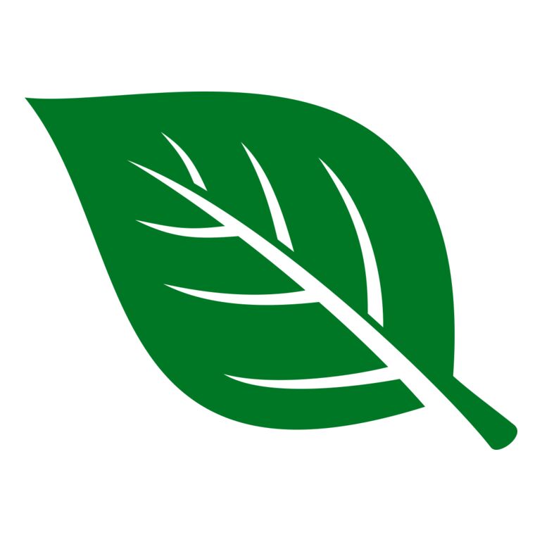Leaf Thumbnail