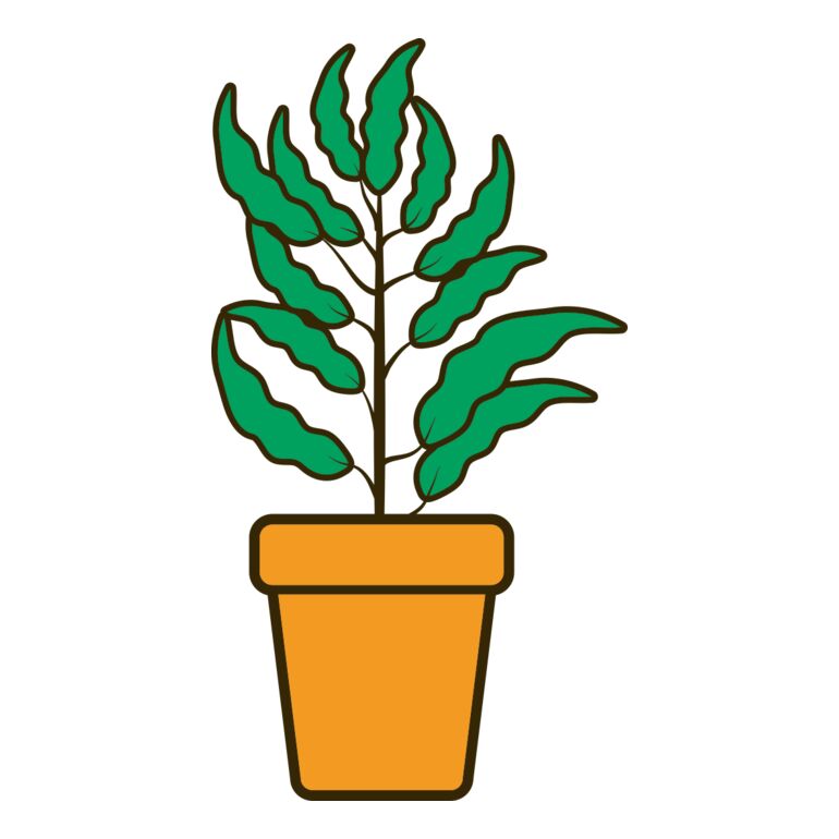 Plant 2 Thumbnail