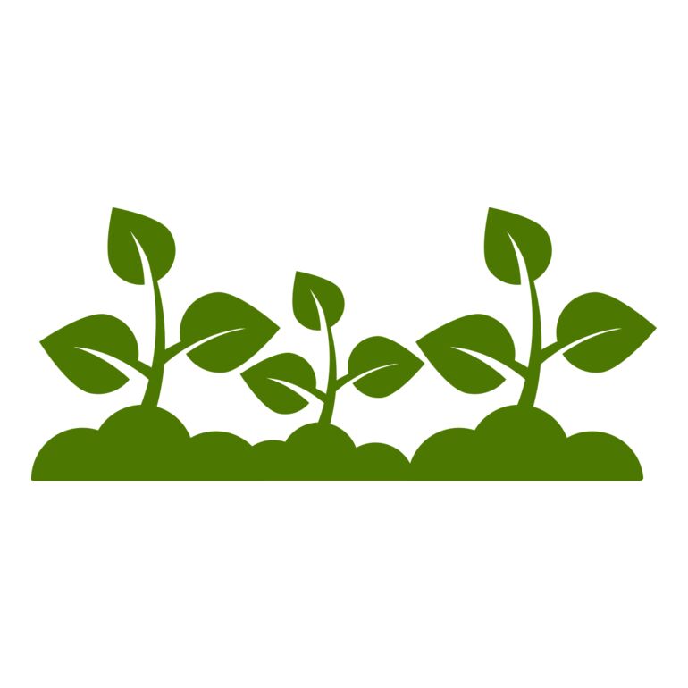 Plant Leaves Thumbnail