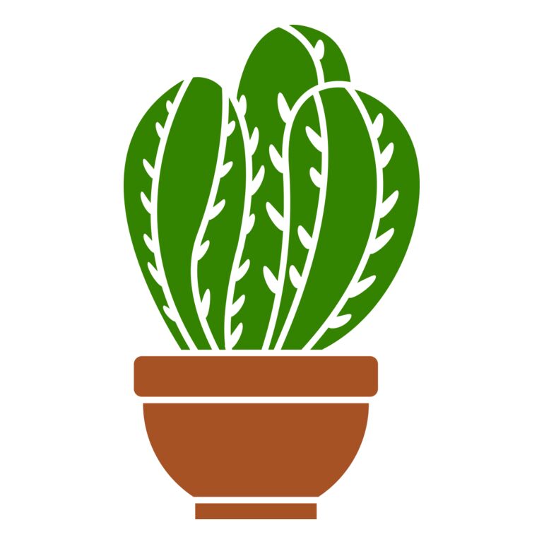 Cactus 3 Thumbnail