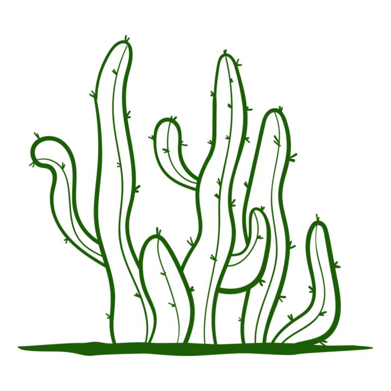 Cactus 2 Thumbnail