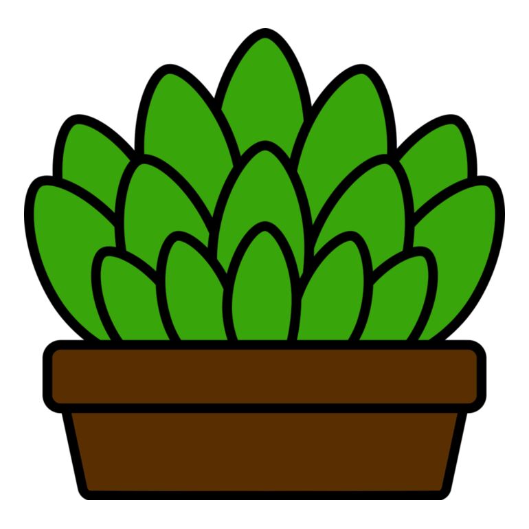 Succulent Plant Thumbnail