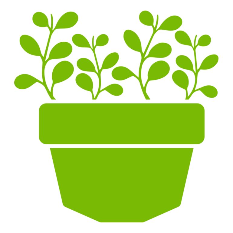 Succulent Plant 3 Thumbnail