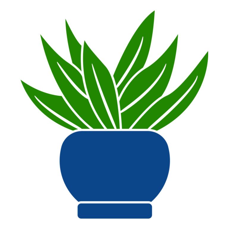 Succulent Plant 2 Thumbnail