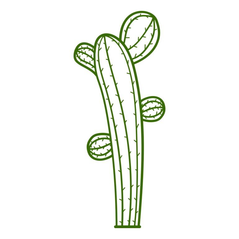 Cactus Thumbnail