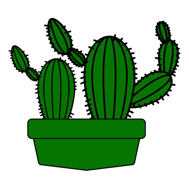 Cactus 5 Thumbnail