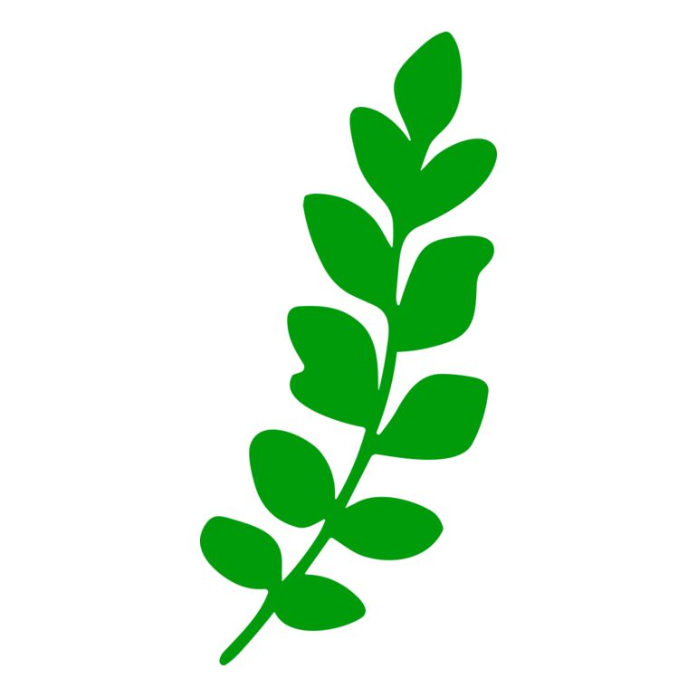 Leaves Thumbnail