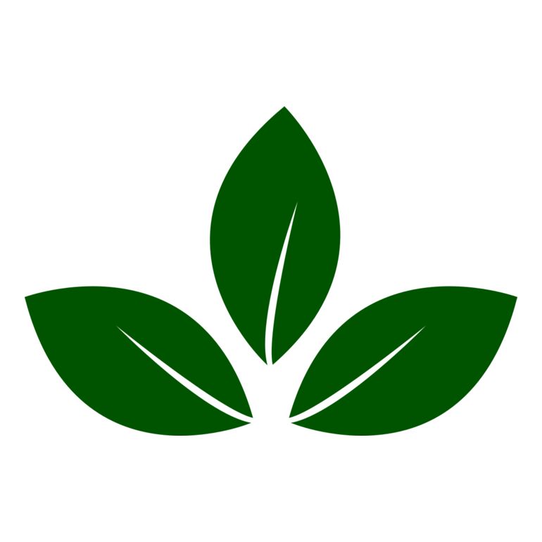 Leaves 5 Thumbnail