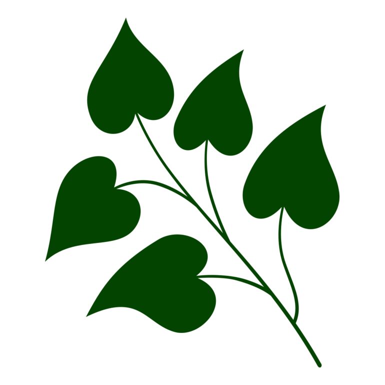 Leaves 3 Thumbnail