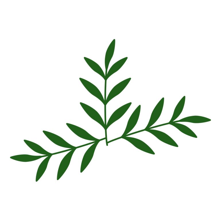 Leaves 2 Thumbnail