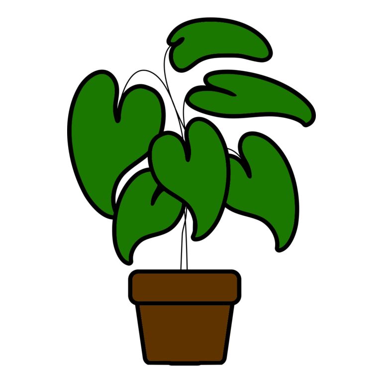 Plant Thumbnail