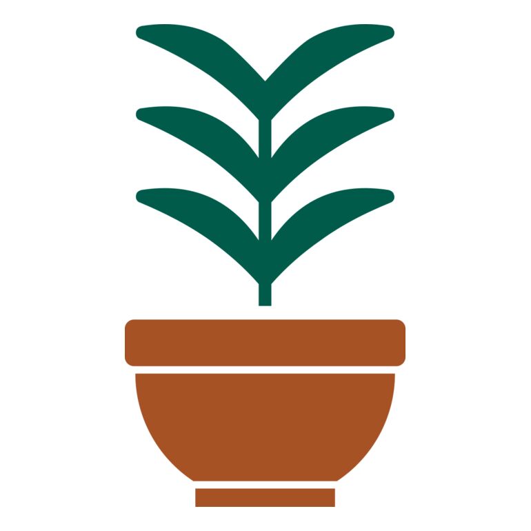 Plant 2 Thumbnail