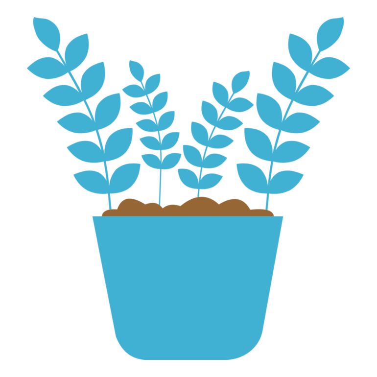 Plant 5 Thumbnail