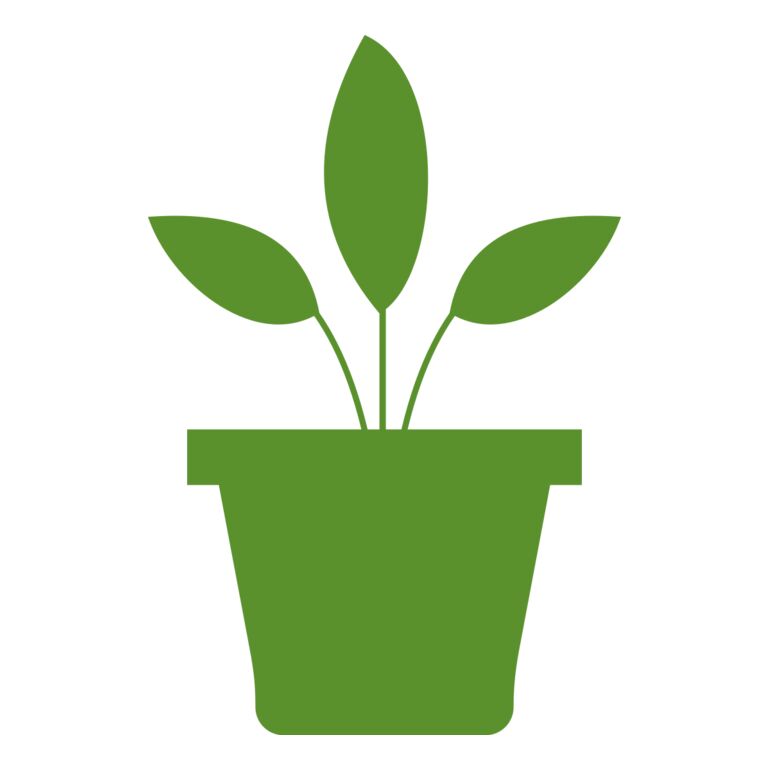 Plant 2 Thumbnail