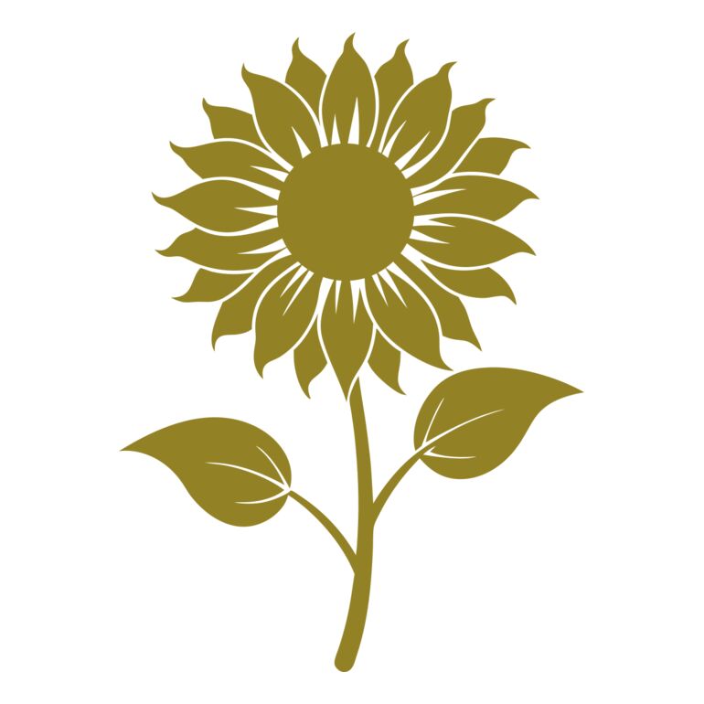 Sunflower 2 Thumbnail