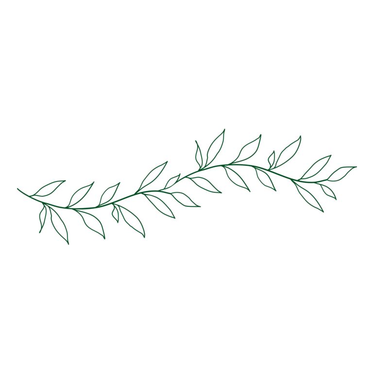 Leaves 2 Thumbnail