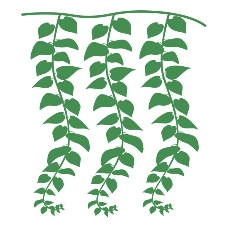 Hanging Plants Thumbnail