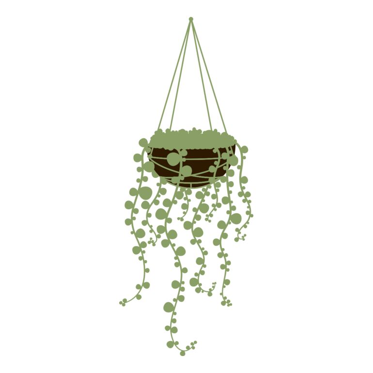Hanging Plants 3 Thumbnail