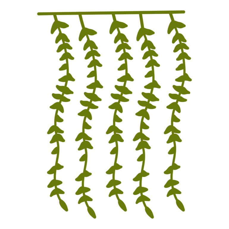Hanging Plants 2 Thumbnail