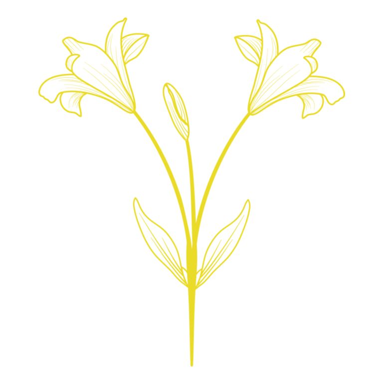 Flowers 9 Thumbnail