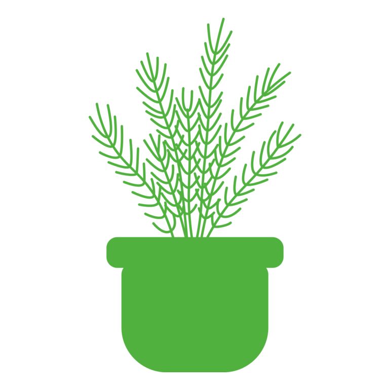 Herb Thumbnail