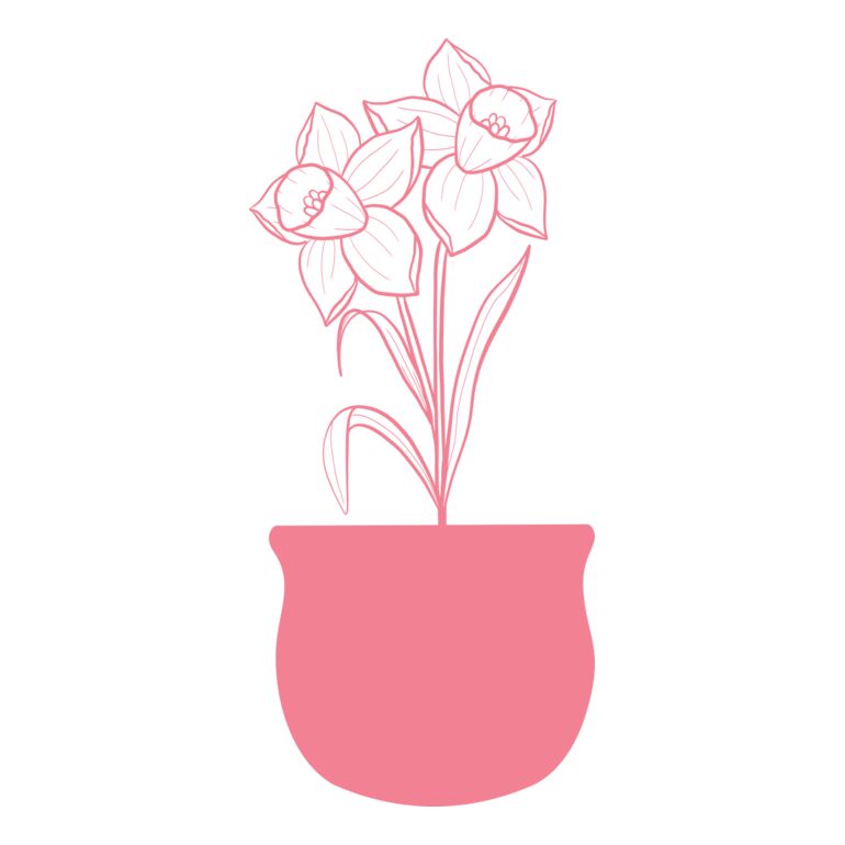 Flowers 4 Thumbnail