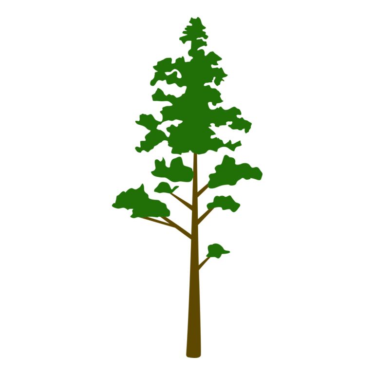 Tree Plant 8 Thumbnail