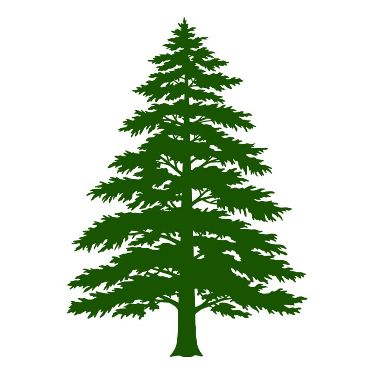Tree Plant 3 Thumbnail