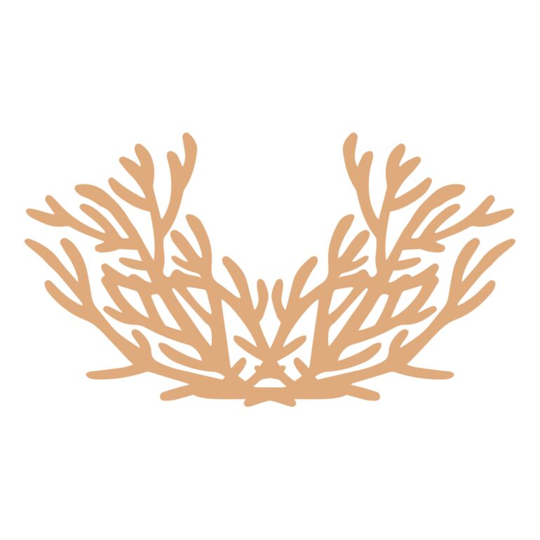 Sea Plants Thumbnail
