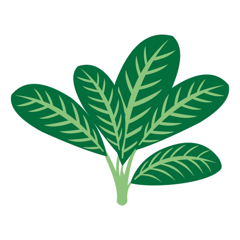 Plants 7 Thumbnail