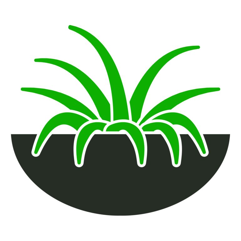 Plants 6 Thumbnail