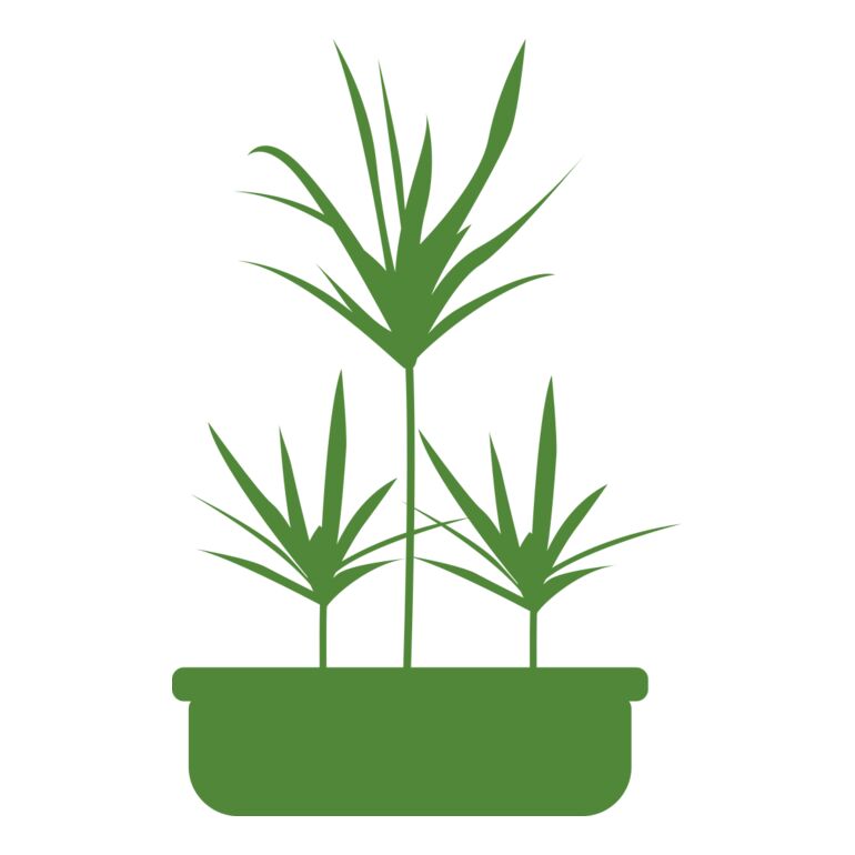 Plants 5 Thumbnail
