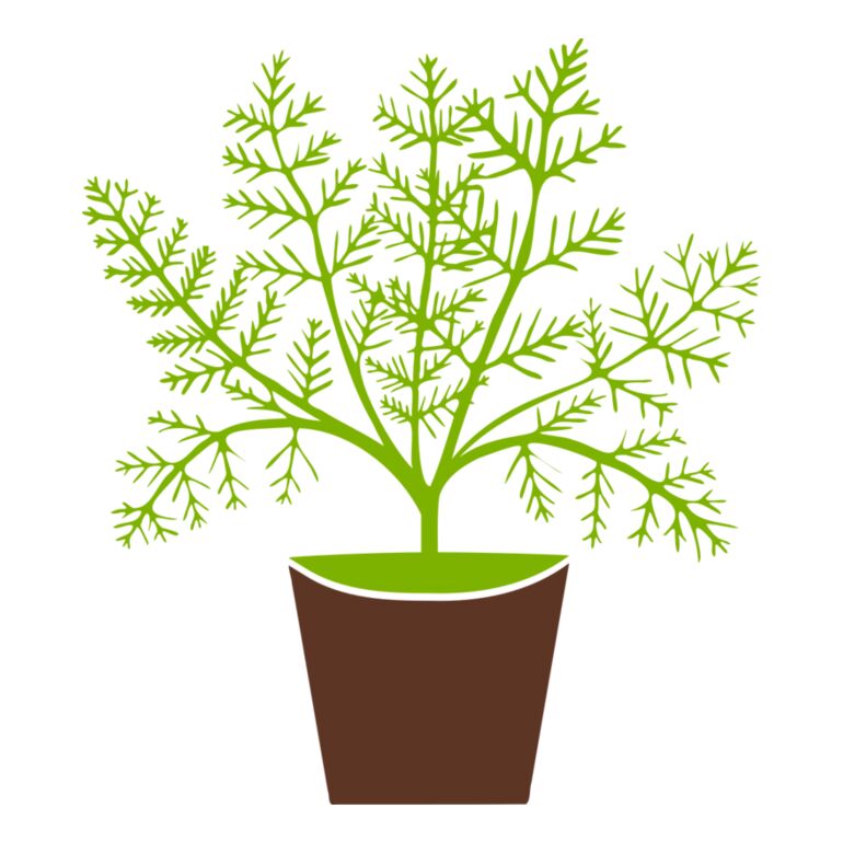 Plant Thumbnail