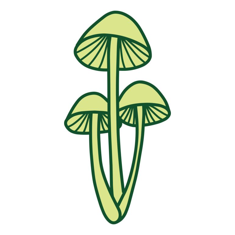 Mushroom 2 Thumbnail