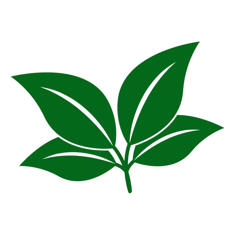 Leaves Thumbnail