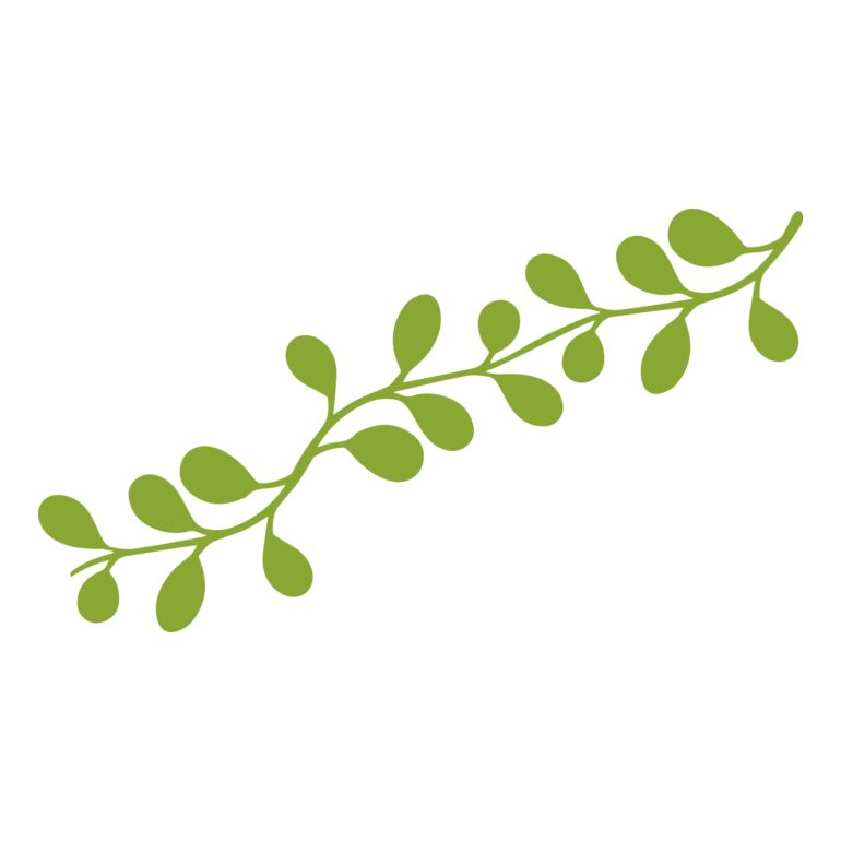 Leaves 13 Thumbnail