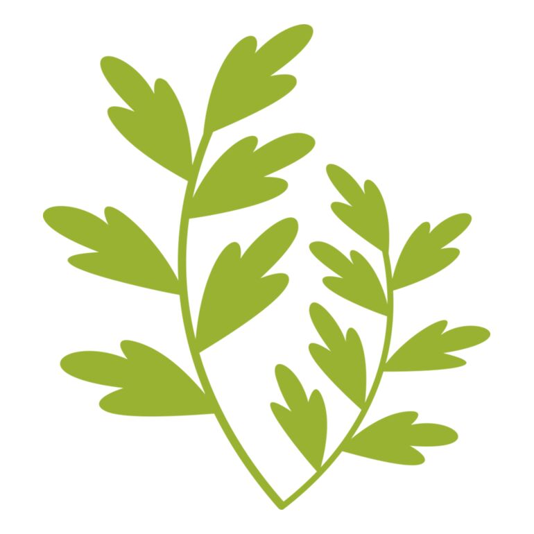 Leaves 11 Thumbnail