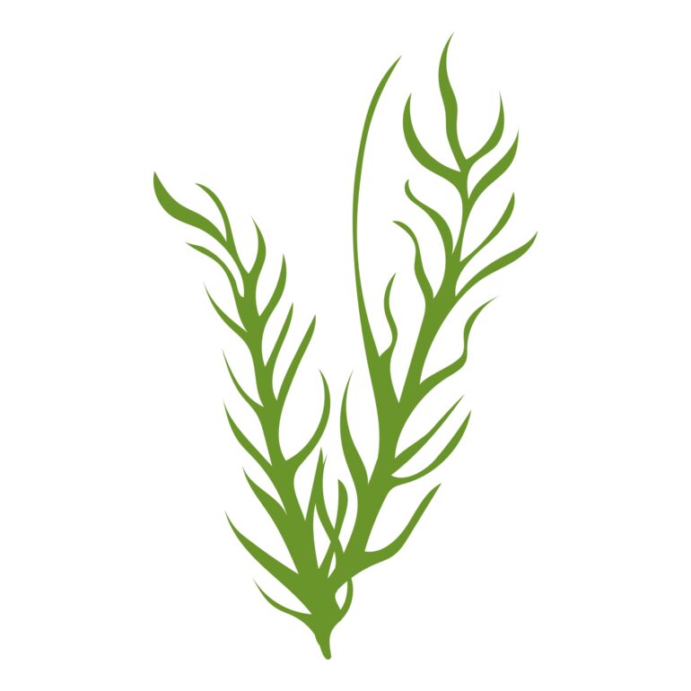 Leaves 8 Thumbnail