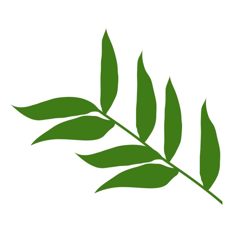 Leaves 5 Thumbnail
