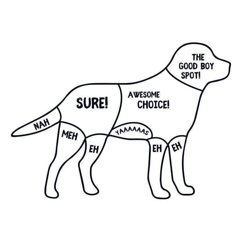 Dog Diagram Thumbnail