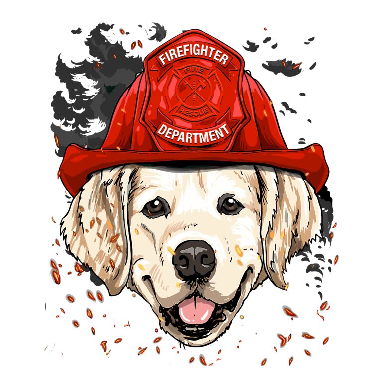 Fire Dept Lab Dog Thumbnail